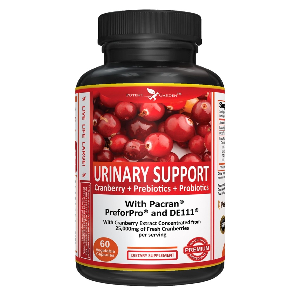 Potent Garden Urinary Support Womens Probiotic for Urinary Tract Health for Women, Cranberry Capsules med 5 miljarder CFUs Cranberry Extract, Prebiotics and Probiotics for Women, 60 Caps, 30 Servings