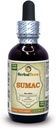 Herbal Terra LLC Suma (Pfaffia paniculata) Tinktur, Torkade Roots Liquid Extract 2 oz