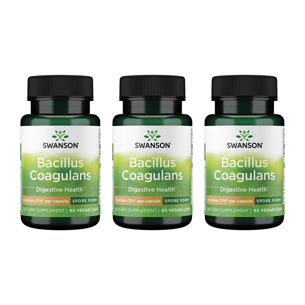 Swanson Bacillus Coagulans - Natural Probiotic Supplement Supporting Digestive Health w/6 Billion CFU - Kan stödja GI & Overall Gut Health - (60 Veggie Capsules) 3 Pack