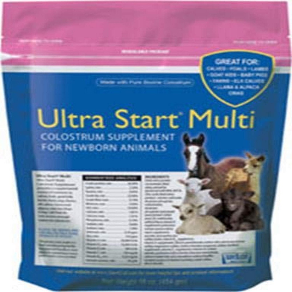 Colostrum Supplement för häst