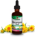 Naturens svar Elecampane Root 2 oz. Låg organisk alkohol 2000mg - Herbal Supplement - Non GMO & Kosher - Låg alkohol Gluten Fri 100% Vegan - 2 FL Oz