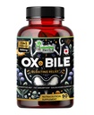 Humming Herbs Ox Bile med Digestive Enzymes & Pre / Probiotika 90 Veg Caps Cholic Acid, Inulin, Betaine HCl, Peppermint, Bromelain Healthy Digestion & Nutrient Absorption - Bil Salts Supplement