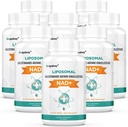Orgabay Liposomal NAD+ Tillägg 500 mg, hög absorption, öka NAD + med TMG 250 mg, faktiskt NAD Plus mer effektiv än nikotinamid Riboside, stödja cellulär energi, hälsosam åldrande | 480 Softgels