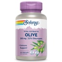 SOLARAY Oliv 250mg - Olivblad extrakt kapslar med 22% Oleuropein, Plus Lemon Balm - Polyfenoler Supplement för Wellness Support - Vegan, 60-dagars garanti, Lab Verified - 120 portioner, 120 VegCaps