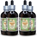 Green Tea (Camellia Sinensis) Glycerite, Organic Dried Leaves Alcohol-Free Liquid Extract (Brand Name: HerbalTerra, Proudly Made in USA) 4x4 fl.oz (4x120 ml)