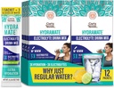 GuruNanda Hydramate Hydration Support Drink Mix - Electrolyte Powder Packets för uttorkning, träning och energi - Inga tillsatta sötningsmedel, icke-GMO, Natural Lemon Lime Flavor - 12 Count (0,56 uns vardera)