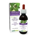 Naturalma Lemon Balm (Melissa officinalis) Leaf Alkoholfri tinktur - 4 fl oz flytande extrakt i droppar - Herbal Supplement - Vegan