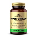 Solgar Super Ginkgo, 120 Vegetable Capsules - Full Potency (FP) - Antioxidant & Nervous System Support - Brain Health - Non-GMO, Vegan, Gluten Free, Dairy Free, Kosher - 120 portioner