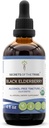 Black Elderberry USDA Organic Tincture | Alcohol-FREE Extract, High-Potency Herbal Drops, Immune System Health | Tillverkad av 100% Certified Organic Black Elderberry (Sambucus Nigra) 4 oz