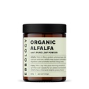 Erbologi Organic Alfalfa Powder 3.2 oz - 45 portioner - Stöder ben och tarmhälsa - Rik i vitamin A, Calcium och järn - Hållbart källad rakt från gård - Small Batch - Vegan - GMO-Free