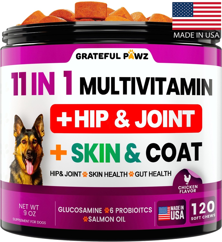 Hund Multivitamin Chewable med Glukosamin - Hund Vitaminer och tillskott, Senior & Puppy Multivitamin för hundar - Pet Chondroitin Hip och Joint Support Health, Immune Booster, Hud, Hjärta, Probiotika