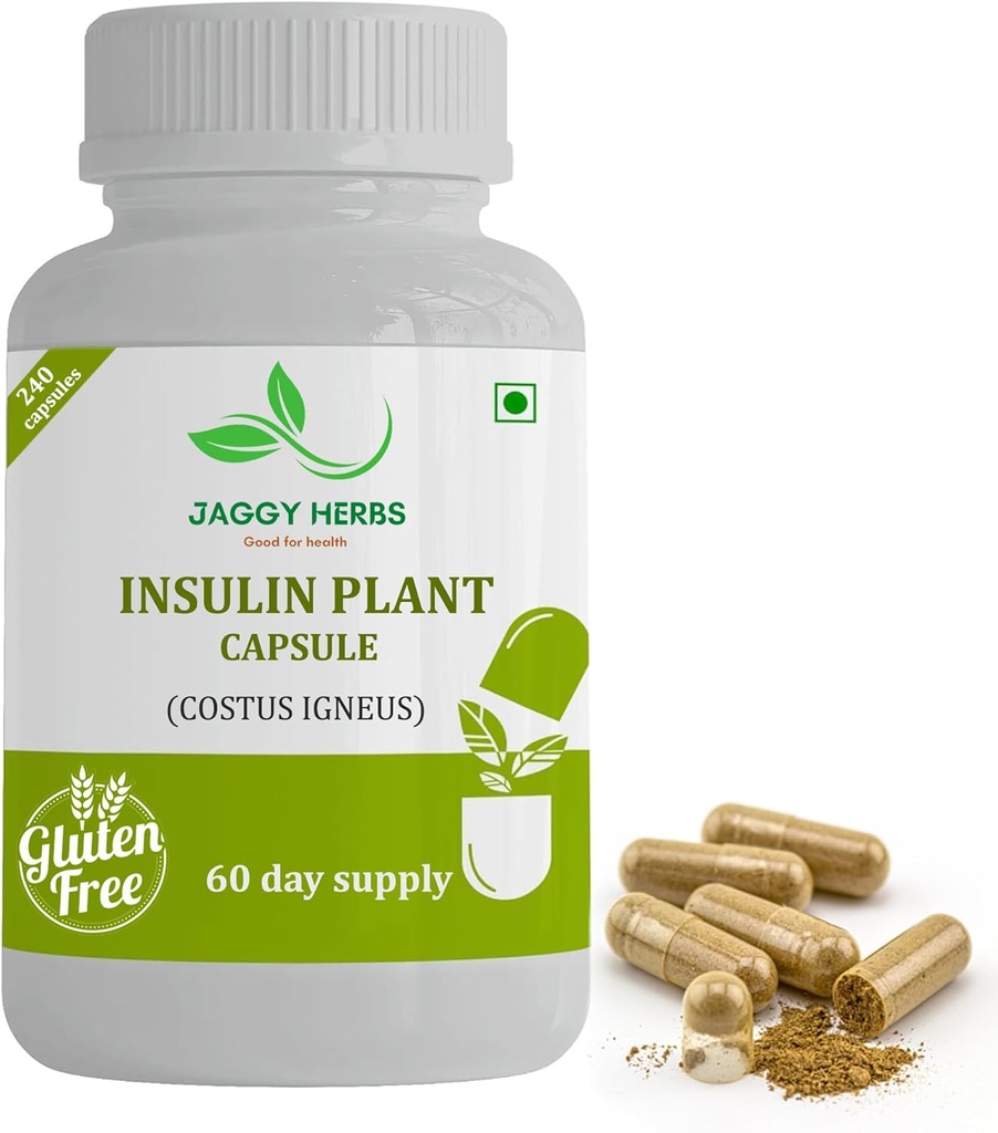 Generisk JAGGY Premium Insulin Plant Capsules (Costus Igneus) Naturtillskott 240 Veggie Capsules (60 Day Supply) Insulin Plant