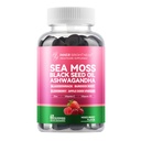Sea Moss 4000mg Gummies med Ashwagandha, Elderberry, Apple Cider Vinegar, Bladderwrack, Burdock Root - Immune Support - Mixed Berry Flavor - 60 Count