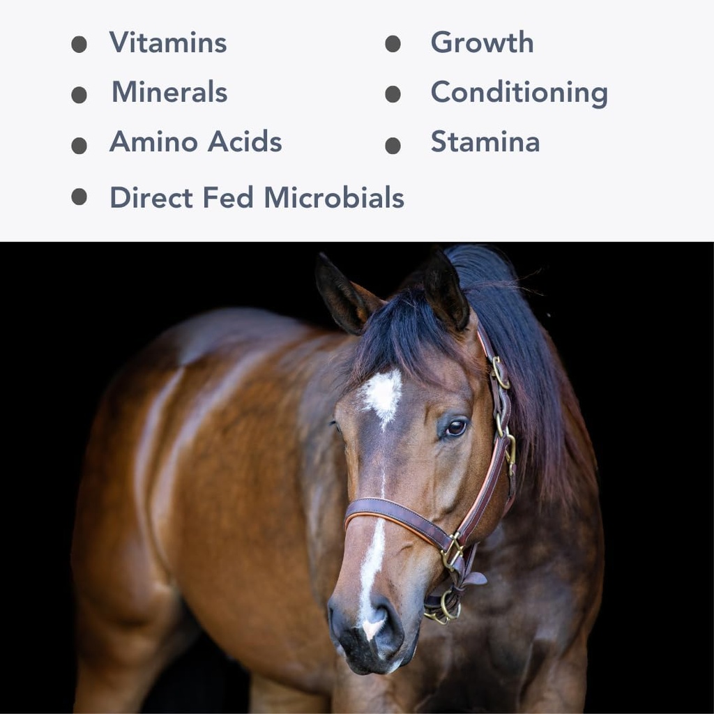 Mega-Mag (25lb) Balanserad multivitamin / mineraltillskott för Alfalfa Hay Diets