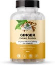 Fantastiska botaniska ämnen Ginger Root Extract tabletter 200 mg - 10% Gingerols, 20 mg per tablett, 30 tabletter