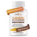 Organisk gurkmeja & Ginger kapslar - gurkmeja Curcumin med Ginger & BioPerine, 95% Curcuminoids - Joint, Digestion, Immunity Support, Black Pepper Extract för ökad absorption