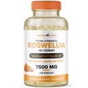 Boswellia Serrata Extract Joint Support Supplement av Powered by Plants - 65% Hög Potency Boswellic Acids med BioPerine - Stöder immunitet, rörlighet och flexibilitet - 120 Vegan kapslar