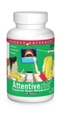 Källa Naturals Attentive Child - Friska kognitiva näringsämnen för aktiva barn - förbättrad fokus och uppmärksamhet med DMAE, Magnesium, Zink & Grape Seed Extract - 60 tabletter