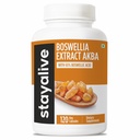 STAY ALIVE Boswellia Serrata Extract Capsules 1000mg med AKBA och 65% Boswellic Acid, 12:1 Resin Extract Powder, 120 greve för 2-månaders leverans, icke-GMO och Gluten-Free Boswellia Supplement