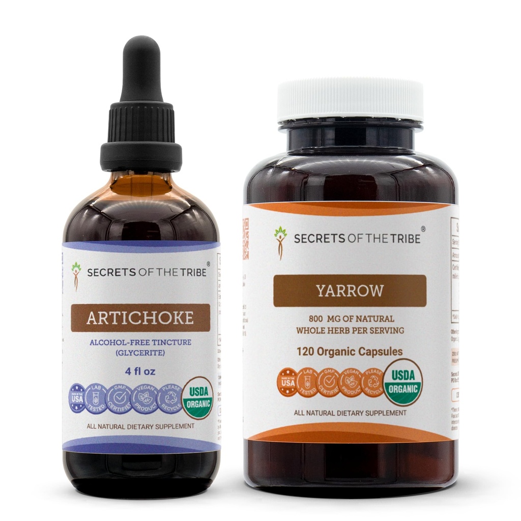 Secrets of the Tribe Artichoke and Yarrow Liquid Extract 4x4 oz | Cynara scolymus Dried Leaf and Achillea millefolium Dried Leaf and Flower