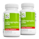 Terry Naturally Andrographis EP80 Extra Strength - Brain Health & Immune Support - Joint Health Support för att hjälpa mobilitet - Adaptogen Supplement för energi och leverstöd - 60 kapslar (Pack of 2)