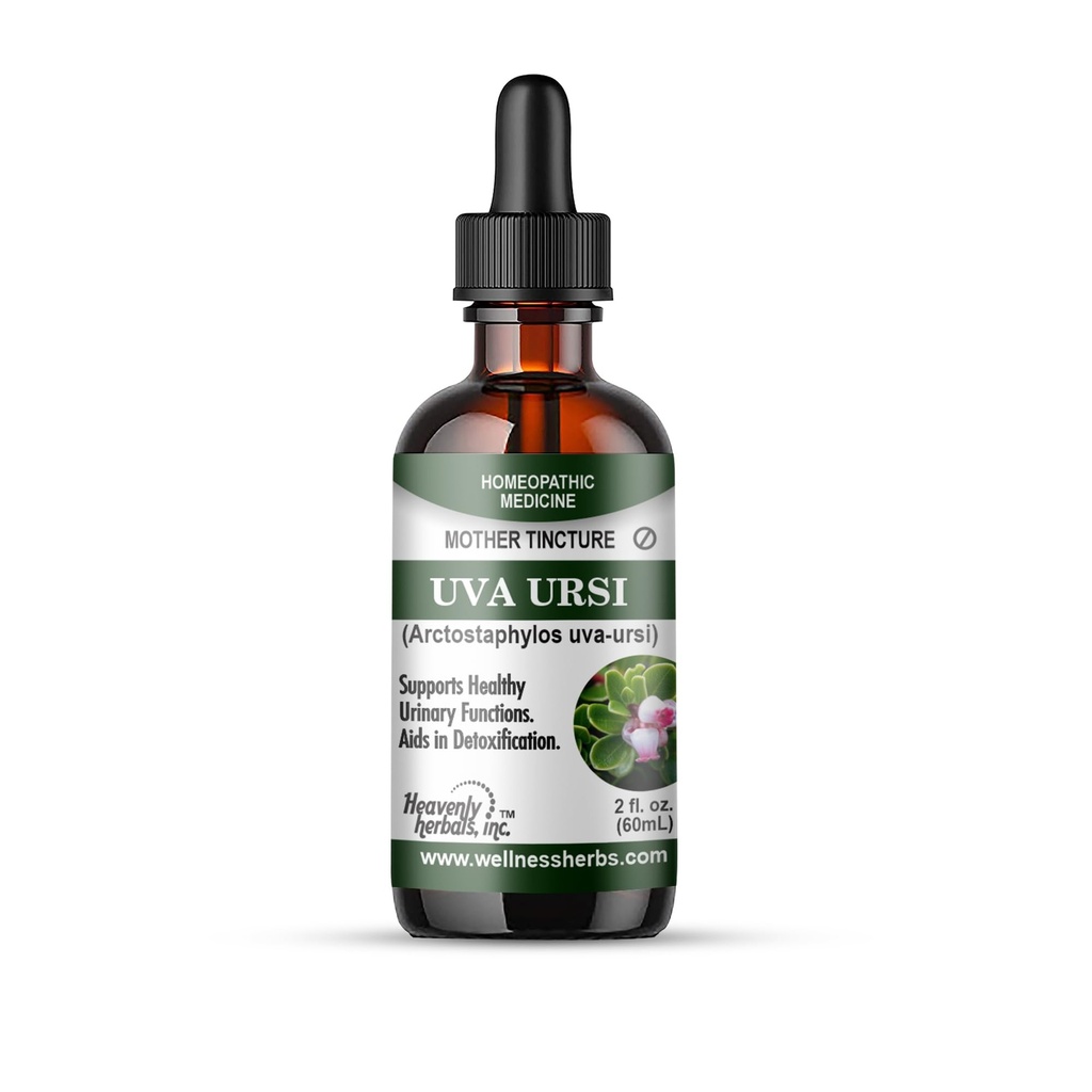 UVA URSI (Arctostaphylos uva-ursi) Homeopathic Mother Tincture (HPUS) - Supports Healthy Urinary Functions. Aids in Detoxification - 2fl Oz - Wellness manufactures and ships from USA.