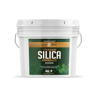 Volcanic Silica Minerals Micronized - 10 lbs