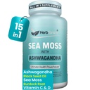 Herbtonics Sea Moss, Black Seed Oil, Ashwagandha, Burdock Root & ACV Complex | Boost Immunity, Reduce Stress, Support Digestion | All-in-One SeaMoss Capsules | 60 kapslar