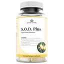 Nature Restore S.O.D. Superoxide Dismutase Supplement, 4 000 IE SOD-Like Activity, Vegan, 90 Capsules, Non-GMO, Gluten Free