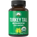 Peak Performance Organic Turkey Tail Capsules - USA Grown Made med Real Turkey Tail Mushroom. Immunsystemstöd Naturligt skördade svamptillskott för immunitet. Vegan Supplement Extract