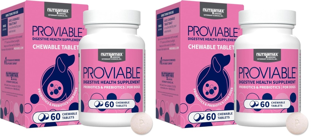 Nutramax Proviable Probiotics for Dogs, Daily Digestive Health Supplement with Multiple Strains of Bacteria, Dog Probiotics Plus Prebiotics, 60 Chewable Tablets,(Pack of 2)