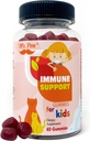 Pen Elderberry Vitamin C Zink Gummies för barn | 60 greve | 2 månaders leverans | 4 + år, Immune Support Gummies, Low Sugar, Non-GMO, Vegan, Gluten Free, Pectin Chews