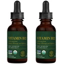 Global Healing Center - Vitamin B12 5000 mcg, Organic Sublingual Liquid Drops | 3-i-1 Methylcobalamin, Adenosylcobalamin, Hydroxo Blend, 1 Fl Oz (2-Pack)