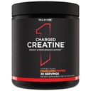 Regel 1 Proteiner laddade kreatin - Multi-Function Workout Supplement med kreatin, elektrolyt och energi Blends för intensitet, prestanda och Hydration Support (30 portioner, Mandarin Mango)
