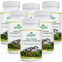 Aktiv Hexose korrelerad förening 1500 mg Tillägg, Natural 8 Mushroom Extract Supplement, Immune System, Liver Function, Natural Killer och T Cells Activity, 540 Veggie Capsules