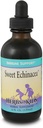 Örter för barn söta Echinacea (4oz)