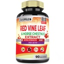 Red Vine Leaf Extract Capsules - med Horse Chestnut, Beet Root, Ginger - Herbal Supplement för hjärta, Leg Vein & Energy - 90 Vegan kapslar för 45 dagar