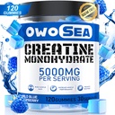 Kreatinmonohydrat Gummies för män och kvinnor 5000mg Kreatinmonohydrat per portion för muskelstöd Energiökning 120 greve Chewable 5g Kreatin Supplement Sugar Free Vegan (1 Pack, Blue Raspberry)