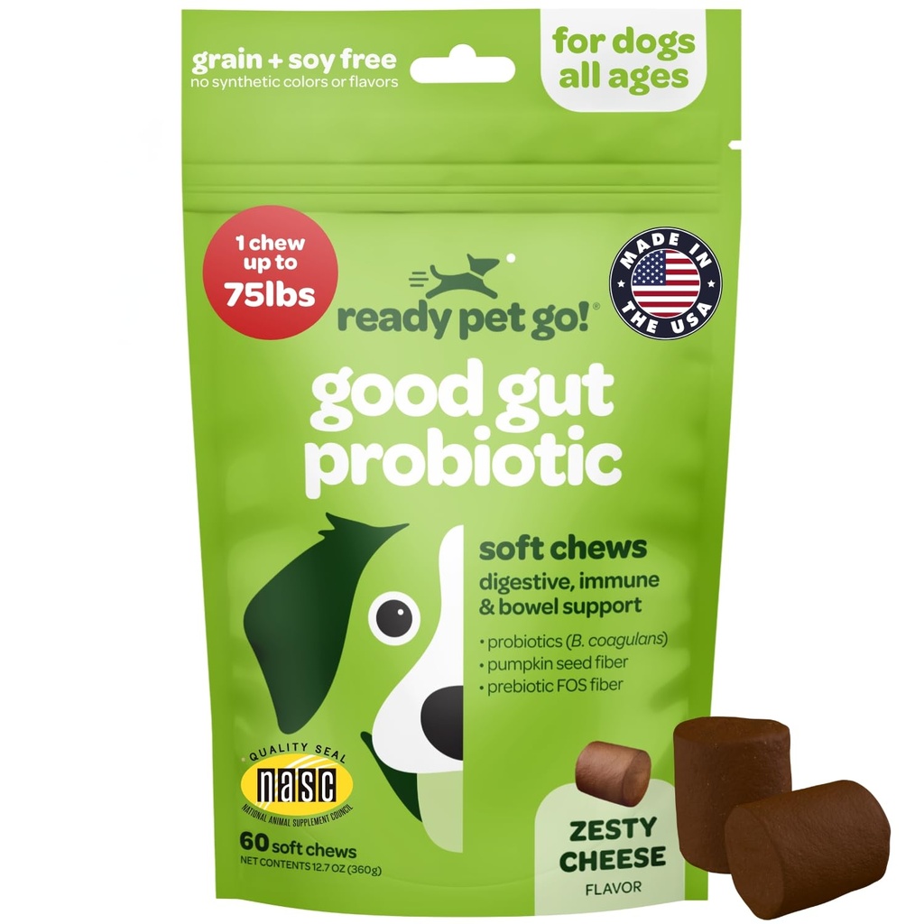 Probiotiska Chews for Dogs Gut Health | Tasty Pre and Probiotics for Dogs Digestive Health med Pumpkin Dog Probiotics och Digestive Enzymes | NASC Certified & Made in the USA | 60 Chews