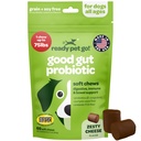 Probiotiska Chews for Dogs Gut Health | Tasty Pre and Probiotics for Dogs Digestive Health med Pumpkin Dog Probiotics och Digestive Enzymes | NASC Certified & Made in the USA | 60 Chews