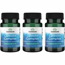 Swanson Luteolin Complex w/Rutin - Brain Support Supplement främja minne, humör och kognitiv hälsa - naturlig formel för att hjälpa till att upprätthålla nervsystemet - (30 Veggie kapslar) 3 Pack