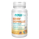 NOW Foods Supplements, BerryDophilusTM med 2 miljarder, 10 Probiotiska stammar, Xylitol Sweetened, Strain Verified, 60 Chewables, förpackningar kan variera