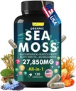 Sea Moss Capsule Komplex med Sea Moss, Black Seed Oil, Aşhwagandha, Ginger & Vitamins C, D3-120 kapslar, Superfood Supplements - Avancerade Seamoss Pills, Wild Sea Moss Pills, Made in USA