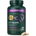 VetriScience Quick Action UT Health Chewable Tablets, UT Strength STAT Supplement for Dogs, Cranberry, Uva Ursi och Chanca Piedra till Soothe Urinary Tract Discomfort, Smoke, 90 Count
