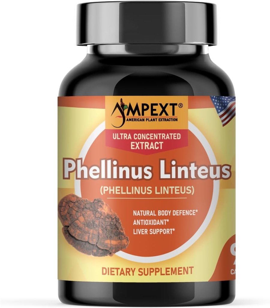 Phellinus linteus Mushroom Extract - Premium Kvalitet, Endast Fruktande Bodies, Antioxidant, Immunity Booster, Liver Support, 90 Veg Caps.