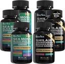 Boysea. Shilajit och Sea Moss Bundle-90 greve - Sea Moss, Black Seed Oil, Ashwagandha, Ginger & Shilajit, Rhodiola Rosea, allt i 1 kosttillskott (3 Pc)