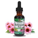 Naturens svar Echinacea Alcohol Free Extract 1 Fluid Ounce | Främjar övergripande Wellness | Naturlig Immun Booster | Inflammatorisk Reducer