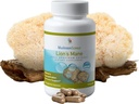 MushroomScience Lions Mane Mushroom Capsules, Memory & Concentration Support, Full Spectrum Extract, Mushroom Supplement för vuxna, Hot Water Extracted Mushrooms, Vegetarian, 300MG, 90 ctrum Extract, Mushrooms, Vegetarian, 300MG, 90 ctrum