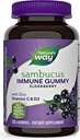 Natures+Way Sambucus Elderberry Gummies, med vitamin C, vitamin D och Zink, Immune Support för barn och vuxna, 120 Gummies