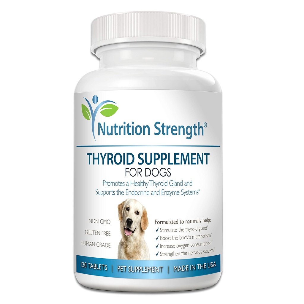 Thyroid Supplement för hundar, stöd för Hypothyroidism hos hundar med organisk blåsa, främjar normal funktion av endokrina och enzymsystem, 120 tuggbara tabletter
